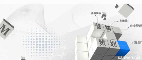 成功营销策划的典范 案例剖析与核心要素